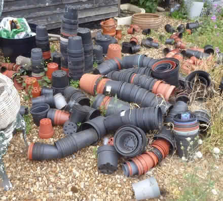 Photo of free garden items would suit for allotment (Barton Bendish PE33) #2