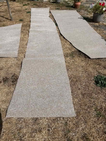 Photo of free Carpet off-cuts (Eynesbury PE19) #1