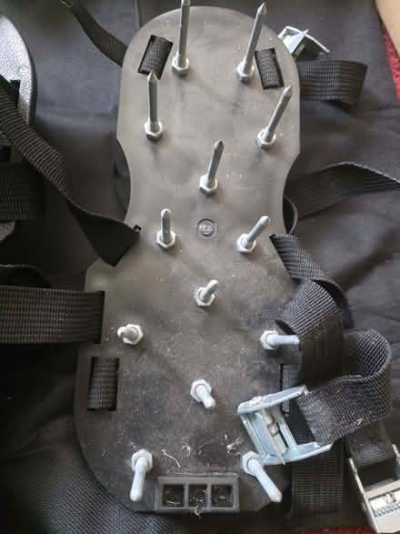 Photo of free garden spikes for lawn (Upper Luton ME5) #2