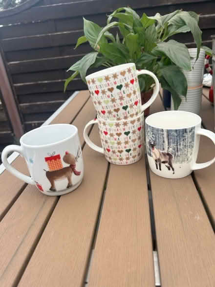Photo of free Christmas mugs (Holbrook, Belper, DE56) #1
