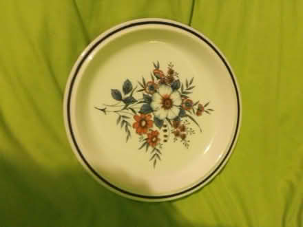Photo of free Dinner plate (Killamarsh S21) #1
