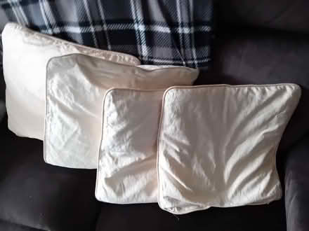 Photo of free 4 cream cushions (Old Harlow CM17) #1
