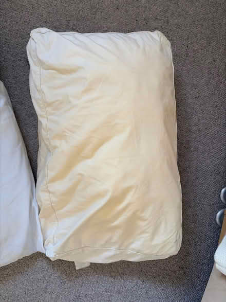 Photo of free 2 used pillows (Park street st albans AL2) #2