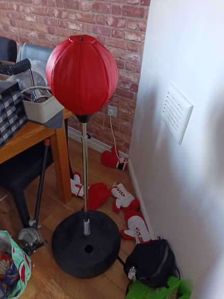 Photo of free Kids Punch Bag (Kiveton S26) #1