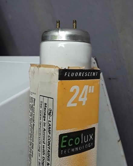 Photo of free fluorescent tube bulb (Ballard) #2