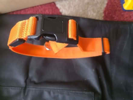 Photo of free Collar (Upper Luton ME5) #1