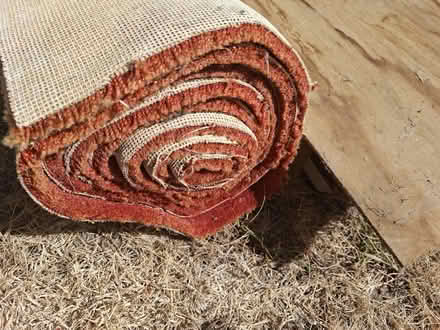 Photo of free Carpet (Seven kings IG3) #1