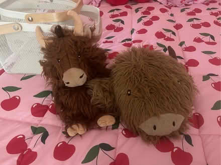 Photo of free Hot water bottle and pyjama bag (Skerton LA1) #1