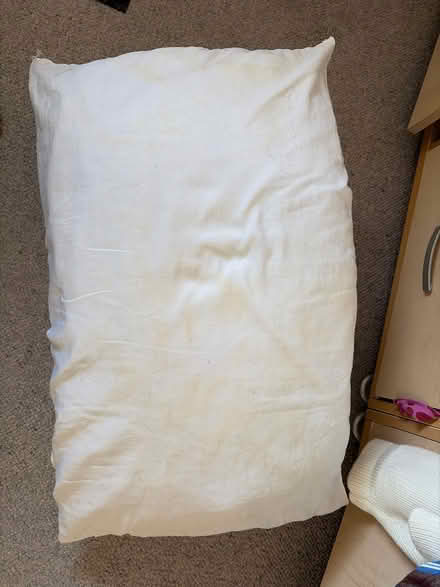 Photo of free 2 used pillows (Park street st albans AL2) #1