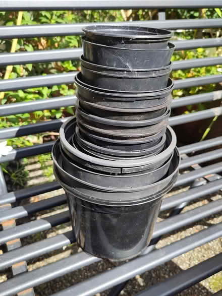Photo of free 16 mixed size plant pots (Central Liverpool L1) #1