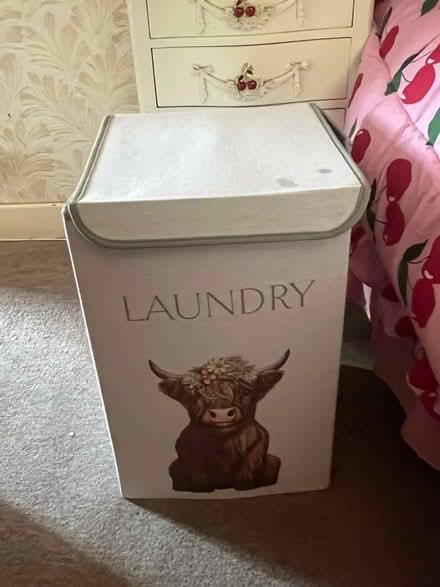 Photo of free Laundry basket (Skerton LA1) #1