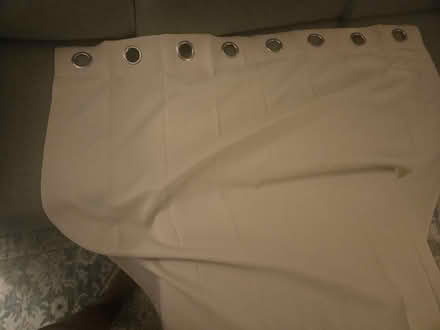 Photo of free Curtains (Brooklyn, Ditmas Park) #1