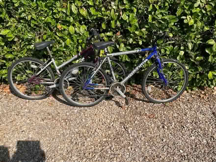 Photo of free Adult man’s and ladies bicycles (Crich DE4) #1