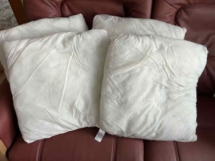 Photo of free 4 cushions (Westbrook WA5) #1