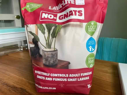 Photo of free Anti fungus gnat plant pot topping (Woodmancote GL11) #1