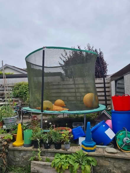 Photo of free Trampoline 3m/10ft (Kingswells AB15) #1