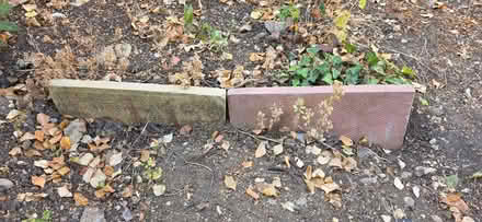 Photo of free Paving slabs (Beulah Hill SW16) #3