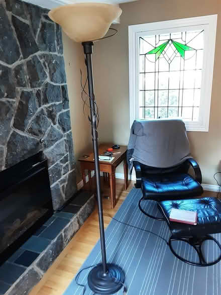 Photo of free Tall floor lamp (Carlingwood) #1