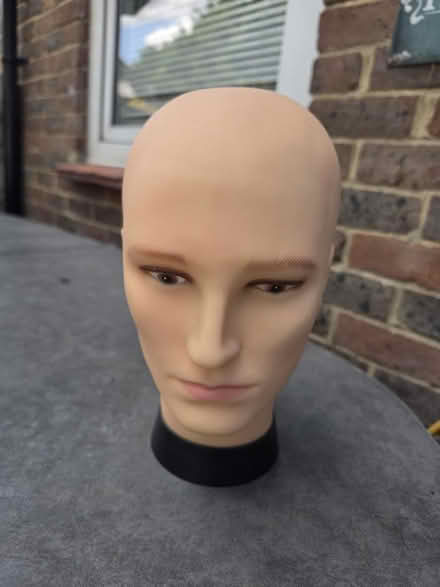 Photo of free Head Model (Coldean BN1) #1