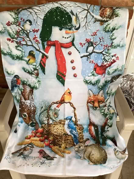 Photo of free Snowman bird flag (Hamburg/Brighton) #1
