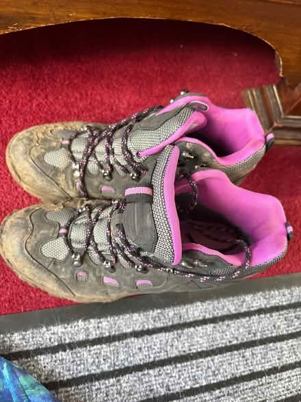 Photo of free Walking boots (Forest Hill SE26) #1