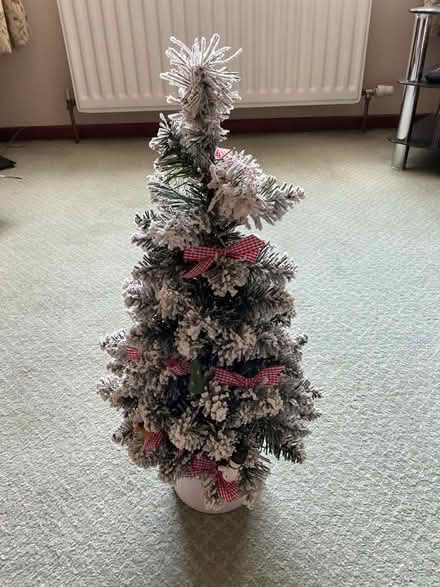 Photo of free Christmas decorations (Ballyhenry BT36) #1