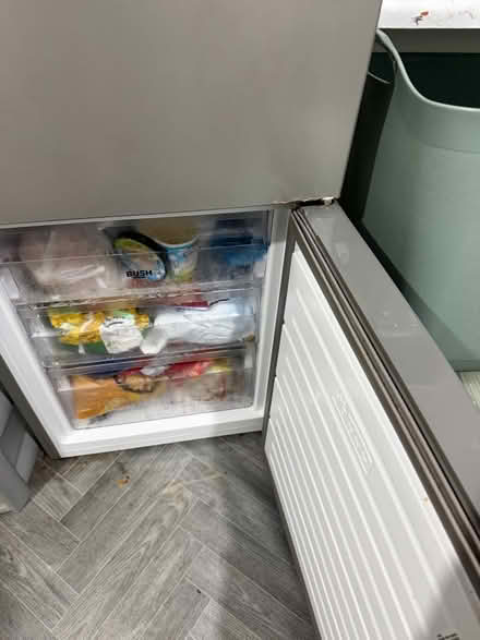 Photo of free Fridge Freezer (Enfield EN3) #4