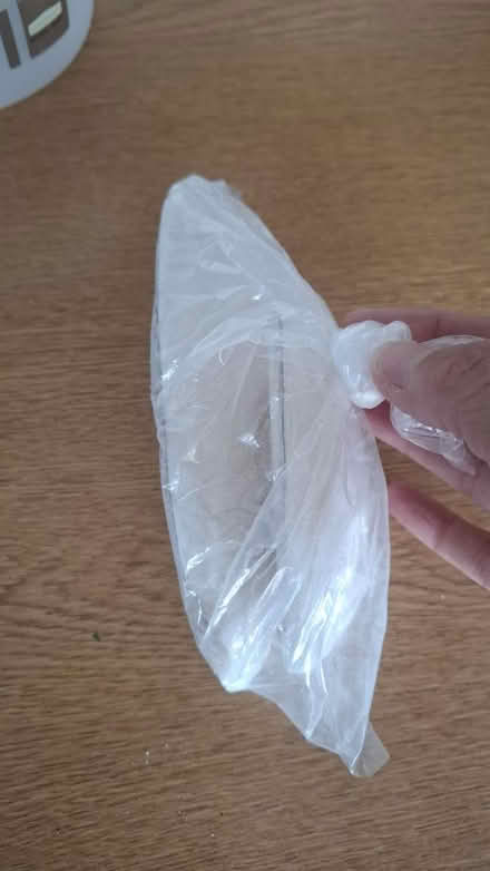 Photo of free Cuttlefish Bone (Mount Pleasant NE8) #2