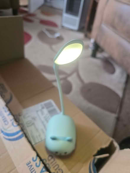 Photo of free Light (Upper Luton ME5) #1