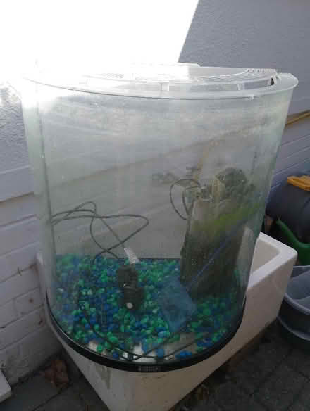 Photo of free fish tank (Caversham Heights RG4) #1