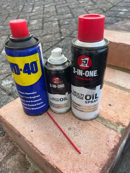 Photo of free wd40 (Wallands Park BN7) #1
