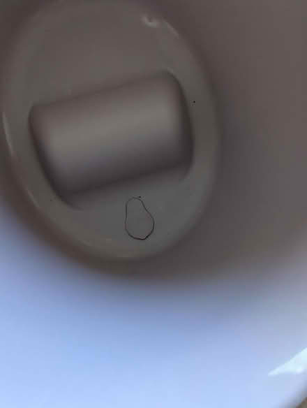 Photo of free Shnuggle Baby Bath (Hoxton N1) #4