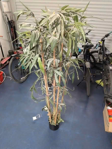 Photo of free Artificial bamboo tree (Stanwell Moor) #1