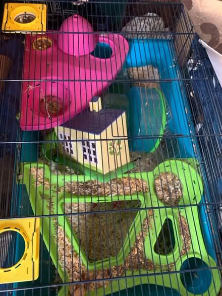 Photo of free Large hamster cage and accessories (Lifford, kings Norton B30) #3
