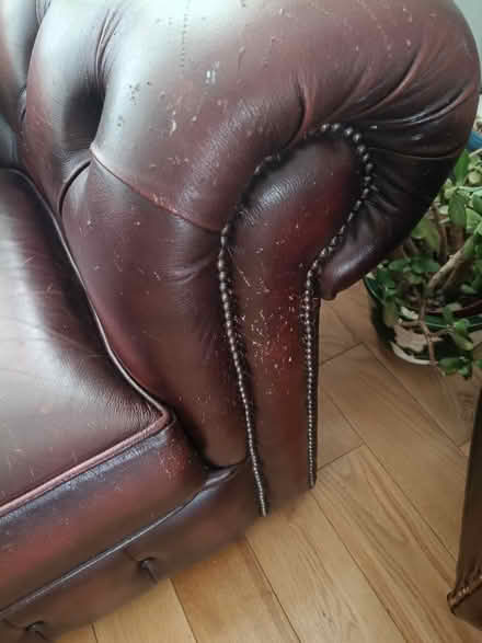 Photo of free Chesterfield 2 person sofa (Abingdon OX14) #4