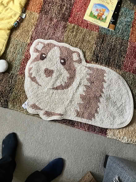Photo of free Guinea pig bath mat (Oxford OX3) #1