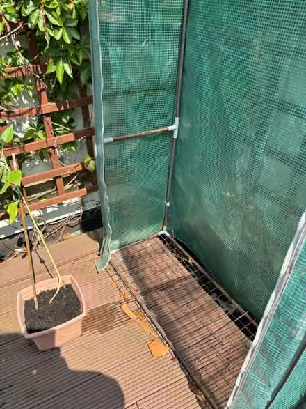 Photo of free Grow bag greenhouse (Rosemount AB15) #3
