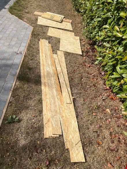 Photo of free 11mm osb off cuts (Blacklands TN34) #1