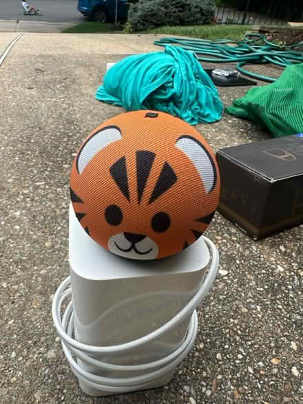 Photo of free Kids Amazon Alexa (Potomac) #1