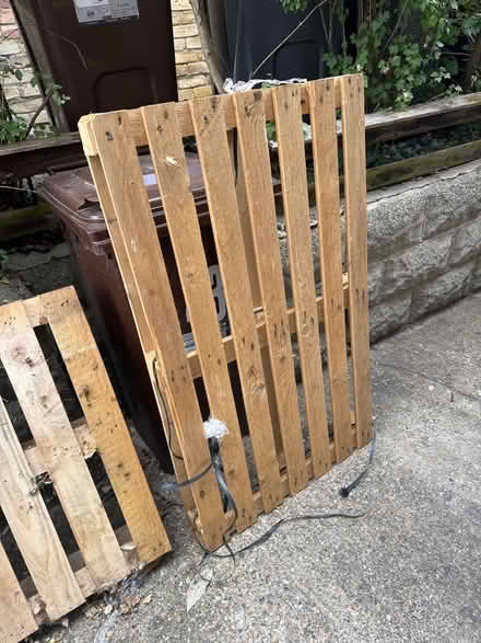Photo of free 2 x Wooden Pallets (Hertford SG13) #3