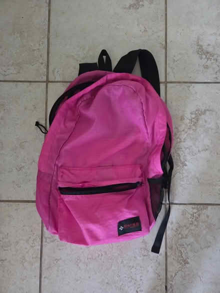 Photo of free used pink Swiss Travel backpack (Elmvale acres, Lynda lane park) #1