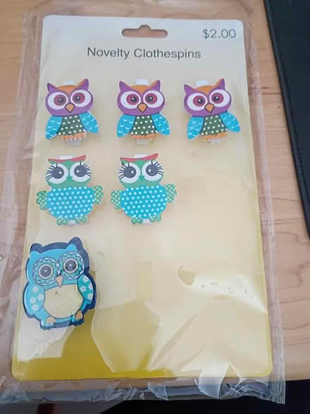 Photo of free Decorative Clothespins w/Owl Design (Vacaville) #2