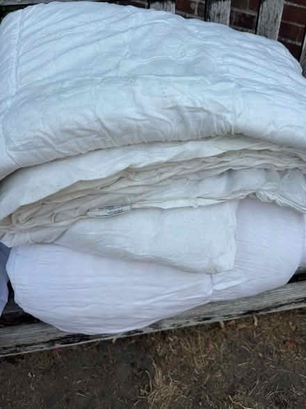 Photo of free Used duvets (for pet bedding) (Cowley OX4) #1