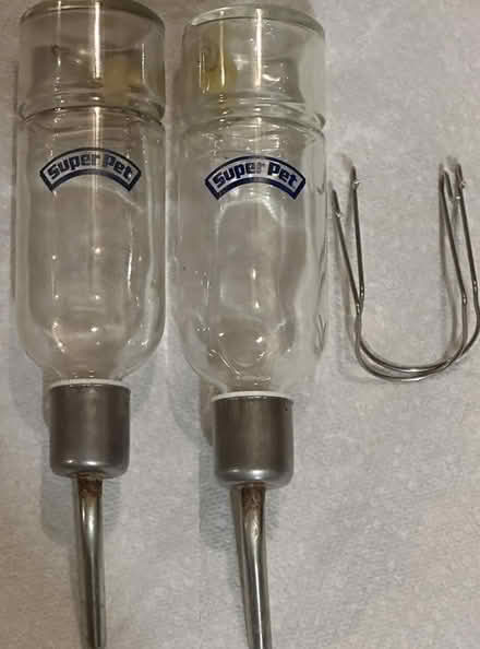 Photo of free Small Animal Glass Water Bottles (Port Murray, NJ) #1