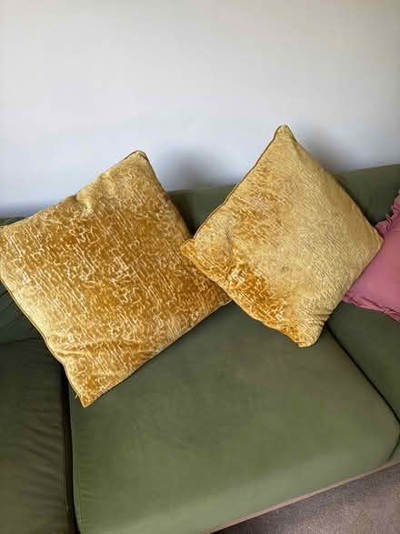 Photo of free Yellow sofa pillows (Sevenoaks TN13) #1