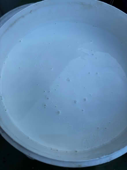 Photo of free White Paint (LE2 South Knighton) #2