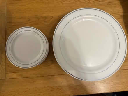 Photo of free Disposable plastic plates (Rake) #1