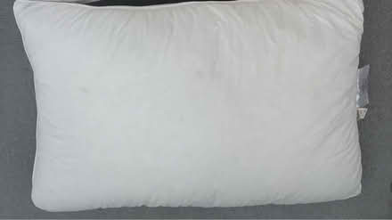 Photo of free Standard size goose down pillow (Battersea, SW11) #1