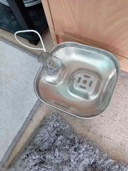 Photo of free Cat wayer fountain (Maidenhead SL6) #1