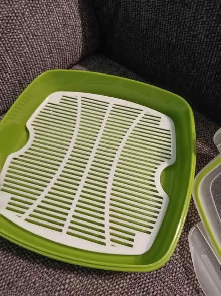 Photo of free Salad box, and drainer (Maidenhead SL6) #2